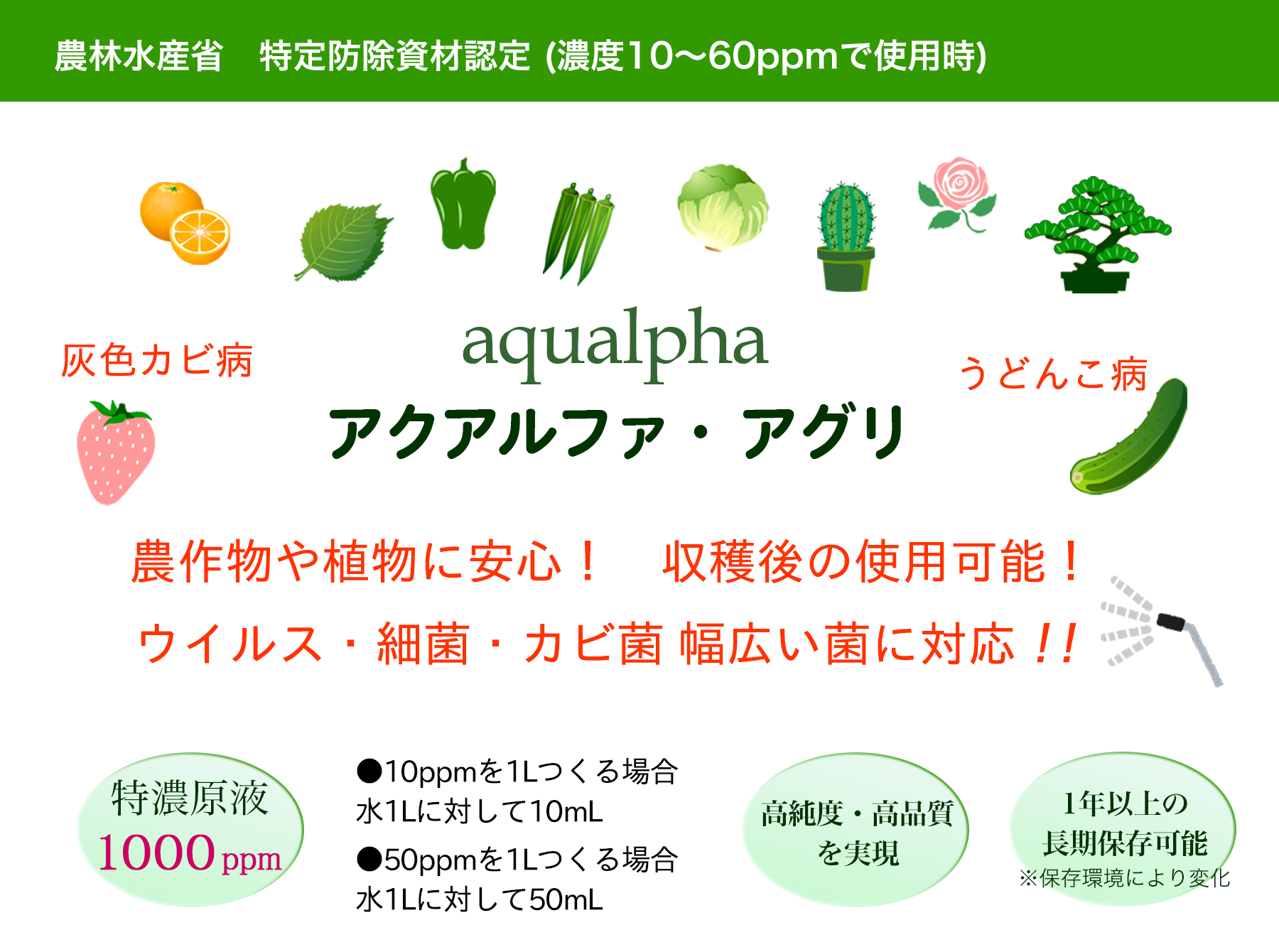 �A�N�A���t�@�E�A�O��