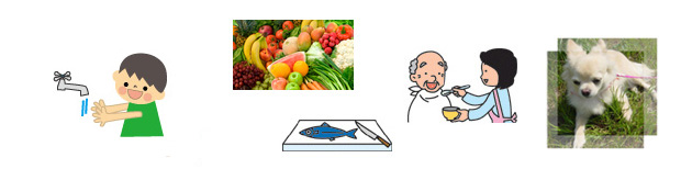 �A�N�A���t�@�p�r�C���X�g