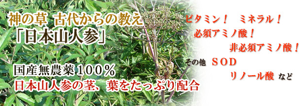 ���{�R�l�Q�i�q���E�K�g�E�L�j