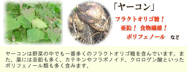 ���[�R��