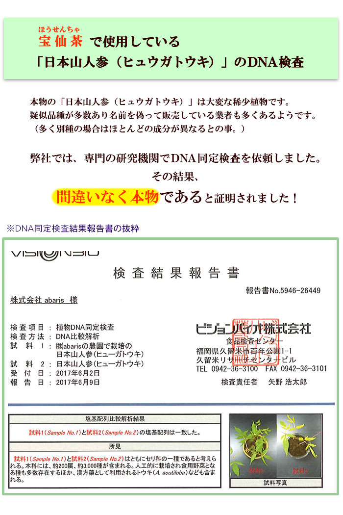 ���{�R�l�Q�i�q���E�K�g�E�L�j