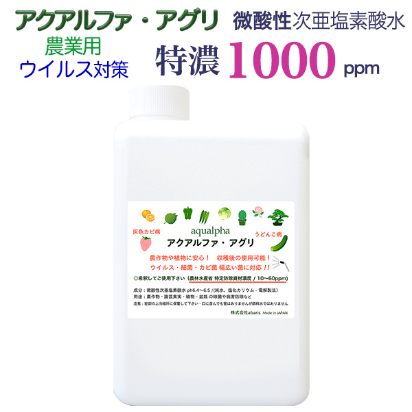 �A�N�A���t�@�E�A�O��