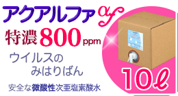 �A�N�A���t�@f